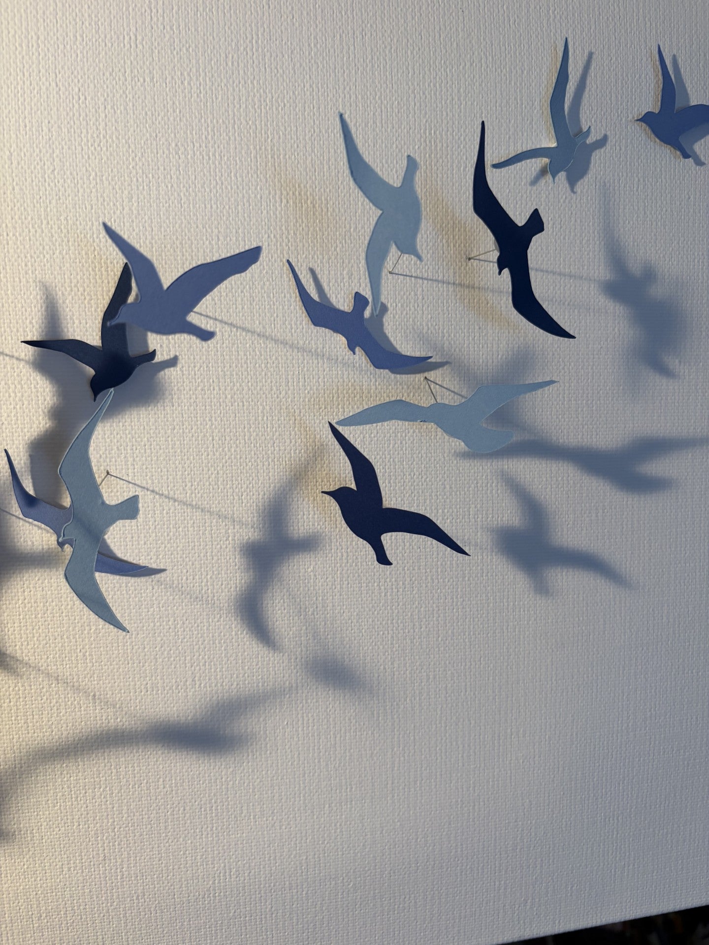 Joanna McDonough | The Rhythm Of Shadows