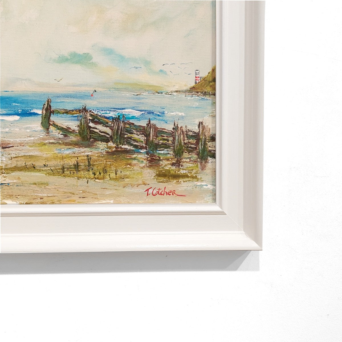 Tom Cotcher | A Lonely Buoy