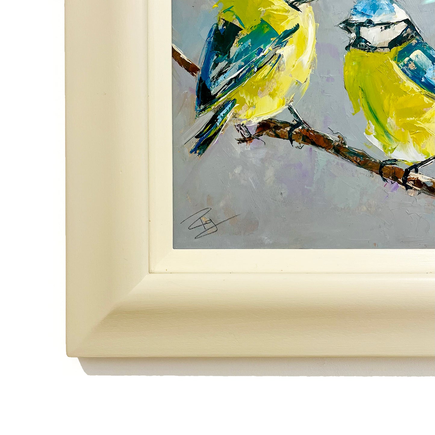 Paul Graham | Blue Tits