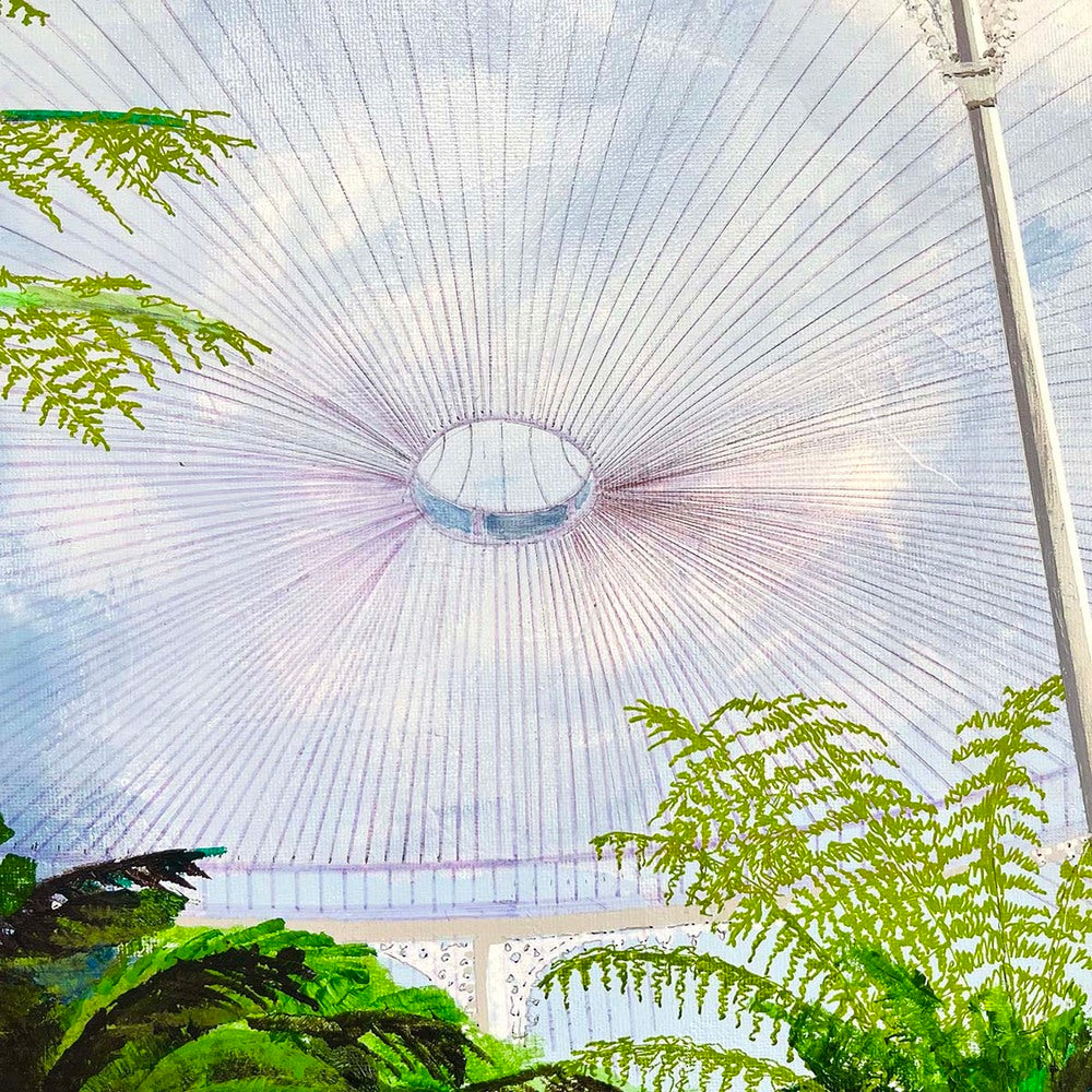 Judith Appleby | Ferns in the Kibble Palace