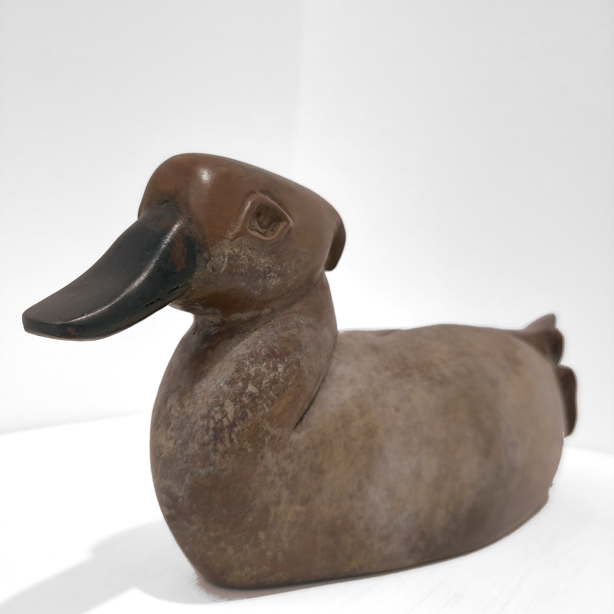 Zita Abreu | Marbled Duck