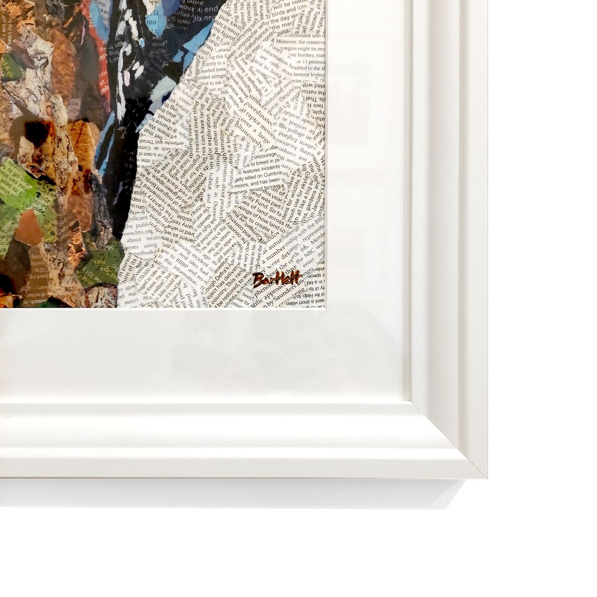 Paul Bartlett | Great Spotted Woodpecker