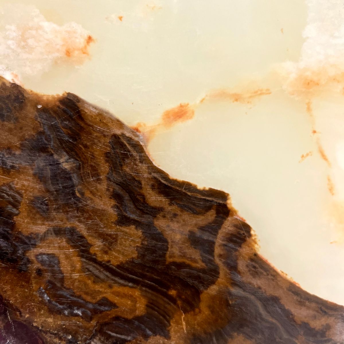 Tom Allan | I See a Mountain, You See a Wave