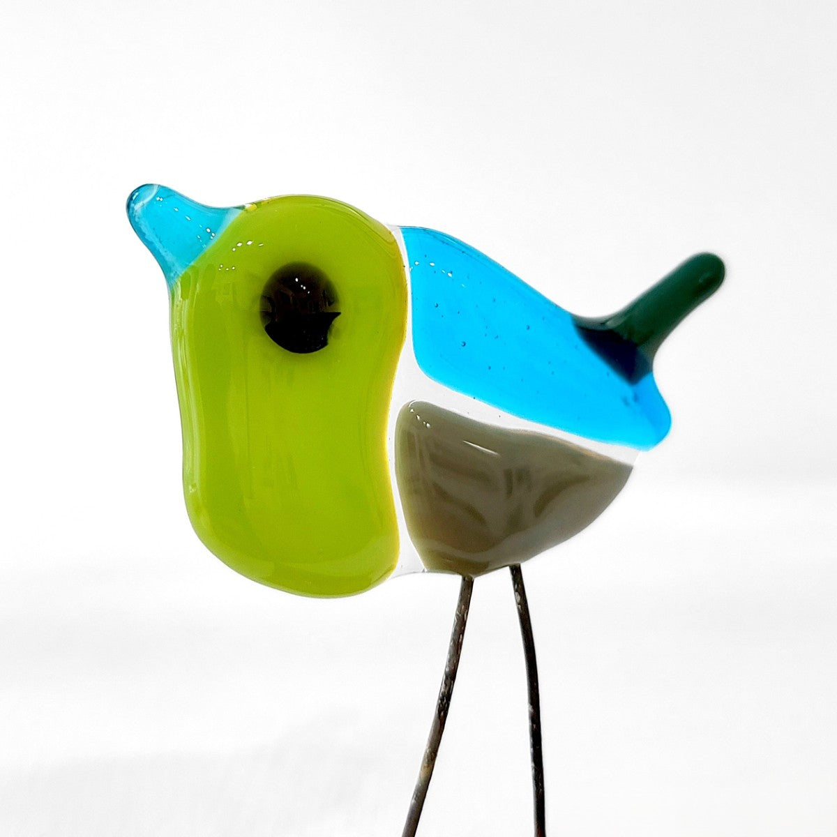 Moira Buchanan | Jamie