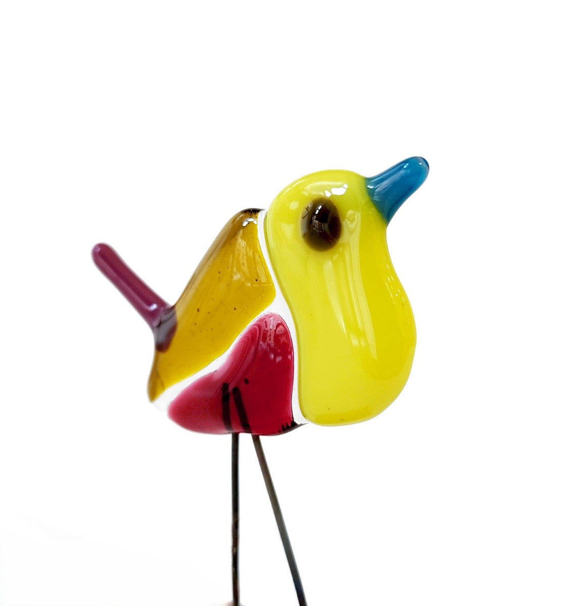 Moira Buchanan | Jane