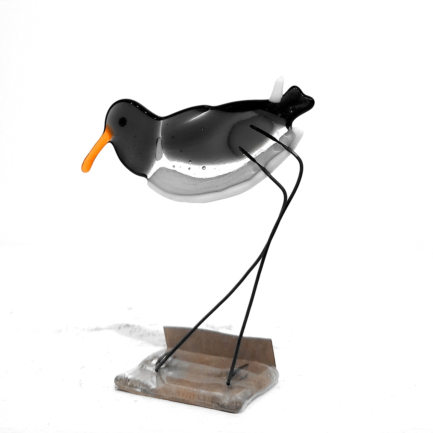 Moira Buchanan | Oystercatcher - 'Jura'