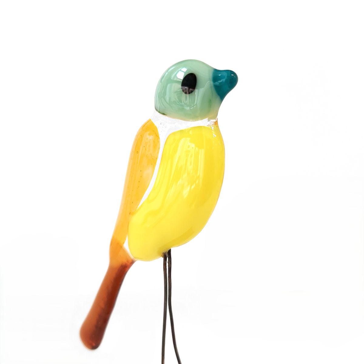 Moira Buchanan | Liz