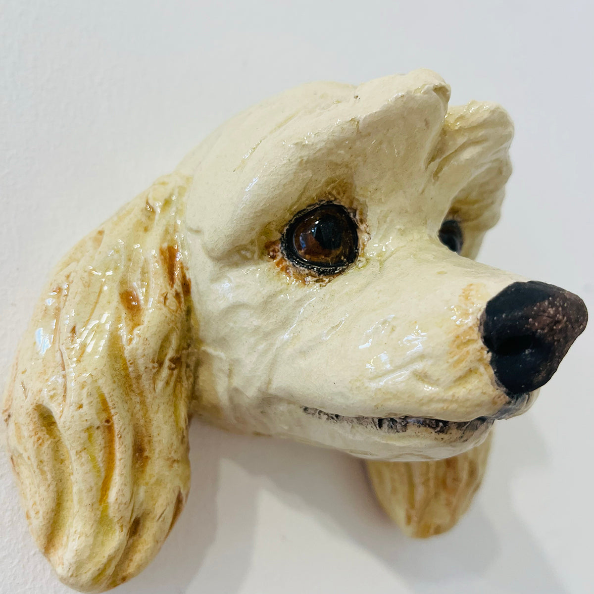 Alex Johannsen | Miniature Poodle "Hugo"