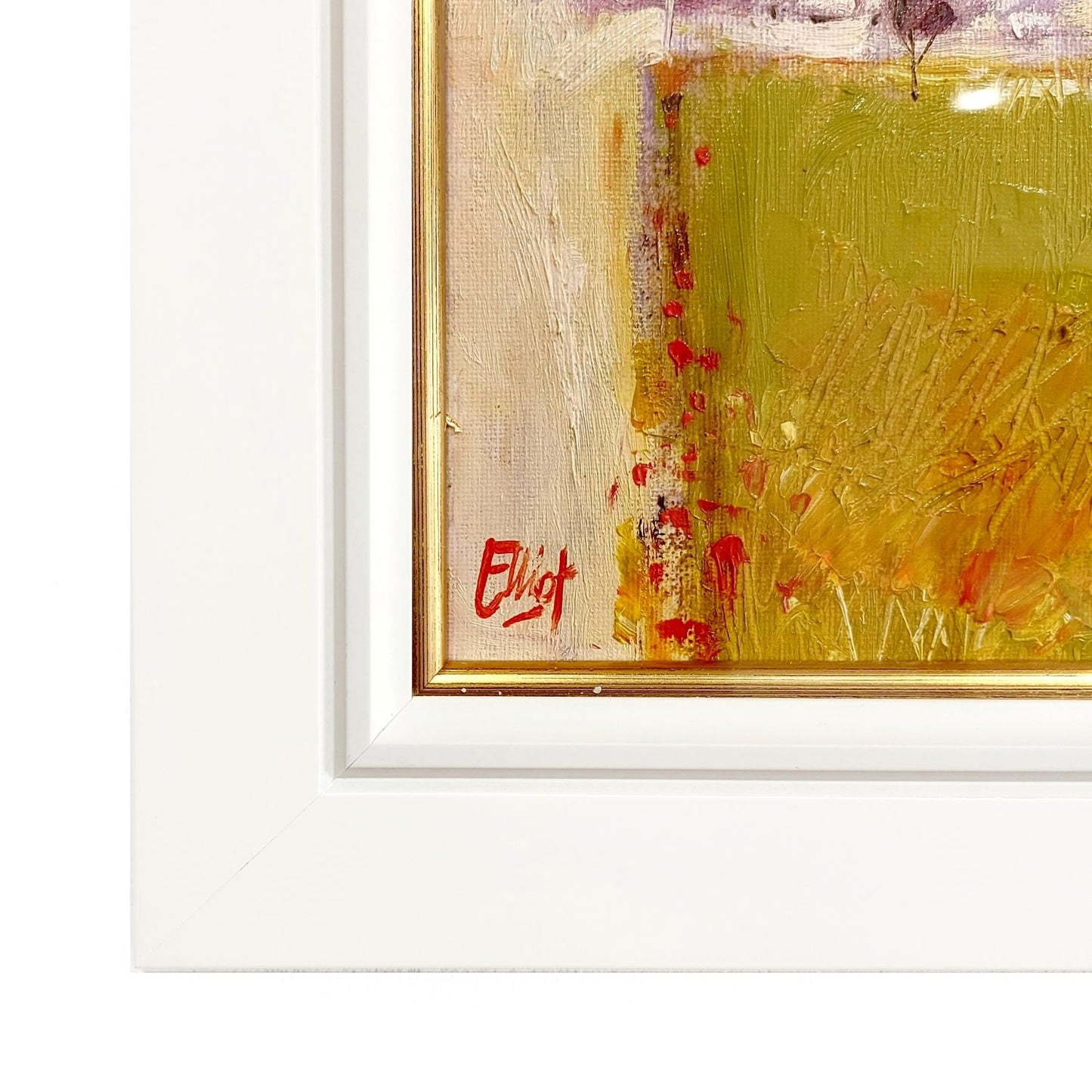 Ian Elliot | Roadside Poppies