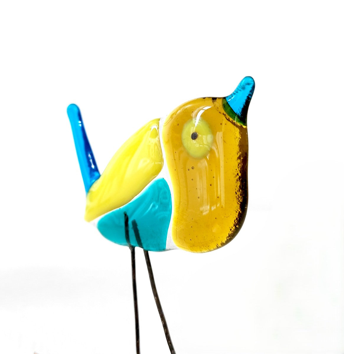 Moira Buchanan | Ryan