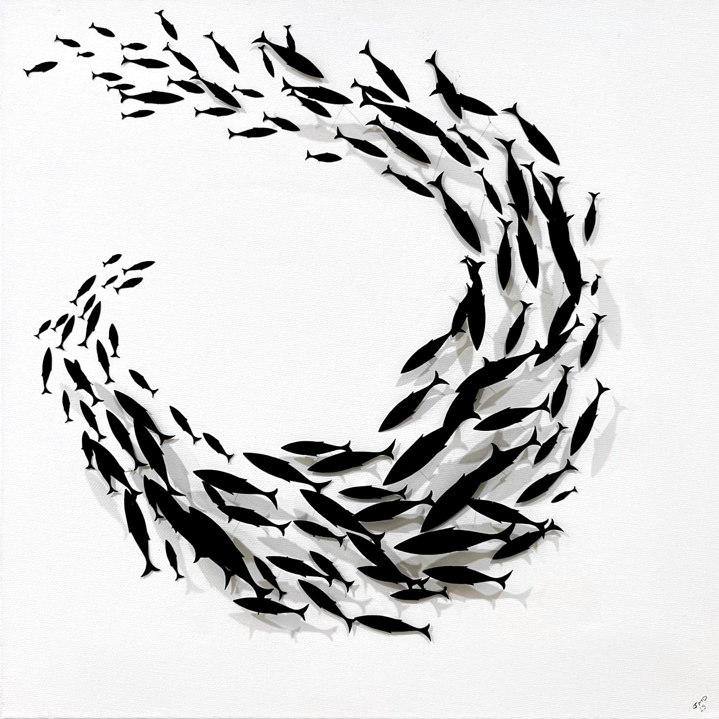 Joanna McDonough | Spiral of Shadows