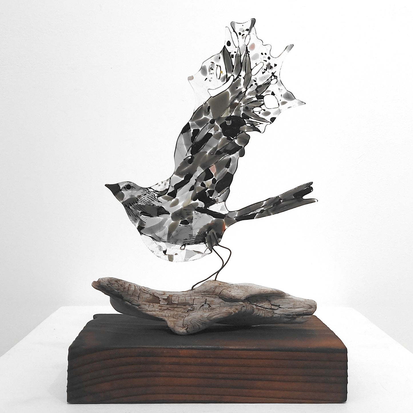 Moira Buchanan | The Ascent