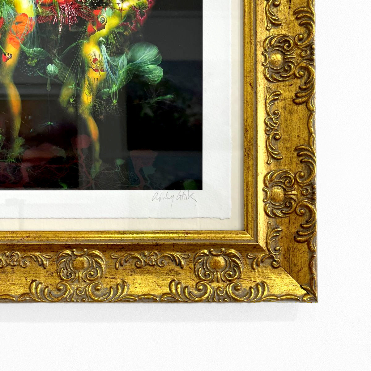 Ashley Cook | The Garden of Little Suns