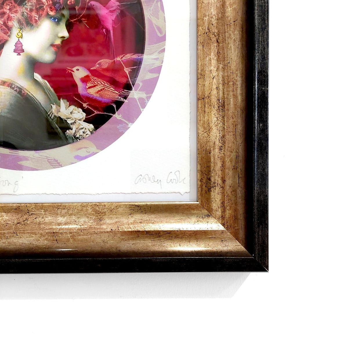 Ashley Cook | The Joy of Bird Song, 4/20