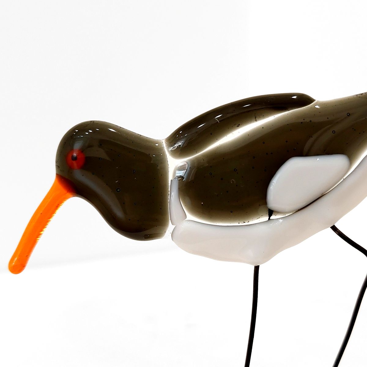 Moira Buchanan | Oystercatcher - 'Tiree'