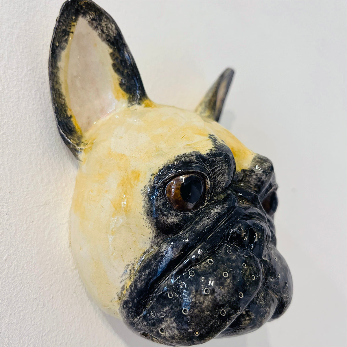 Alex Johannsen | Blonde French Bulldog