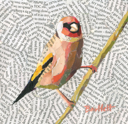 Paul Bartlett SWLA | Goldfinch Perched