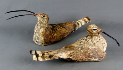 Mark Gibbs - 'Curlew Pair'