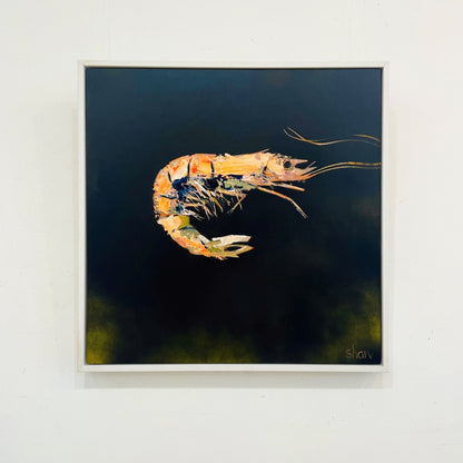 Rob Shaw | Prawn I