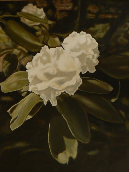 Ellisa Haldenby | Rhododendron III