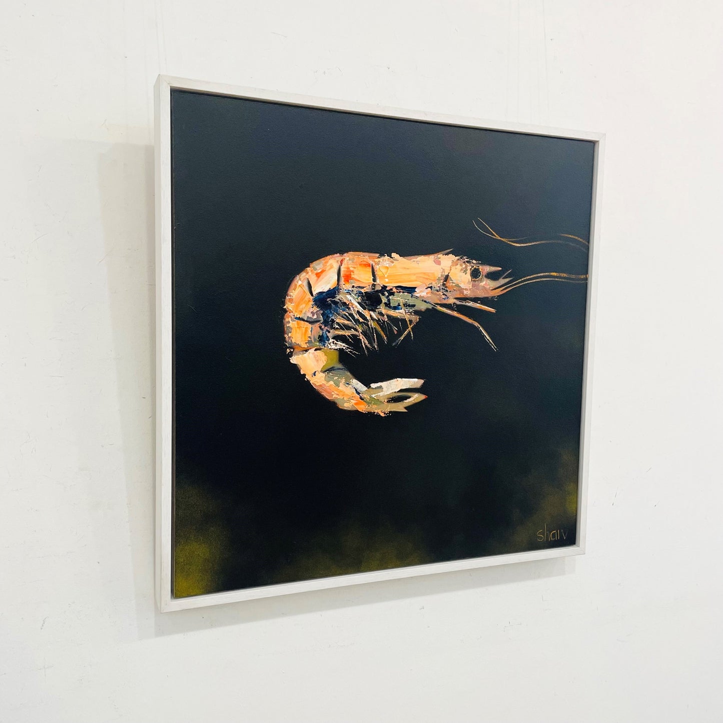 Rob Shaw | Prawn I