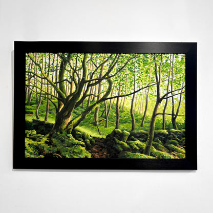 Gavin Weir | Along the West Highland Way I (The Hidden Drystone Wall)