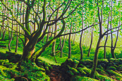 Gavin Weir | Along the West Highland Way I (The Hidden Drystone Wall)