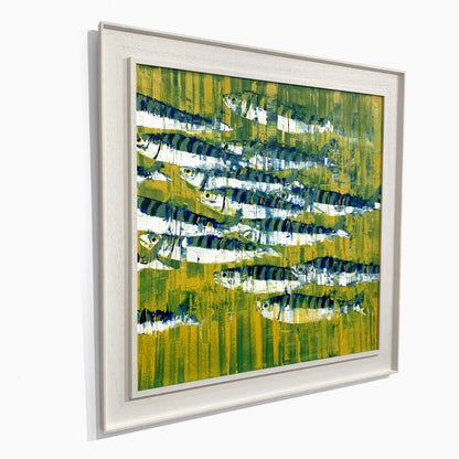 Rob Shaw | Atlantic Mackerel