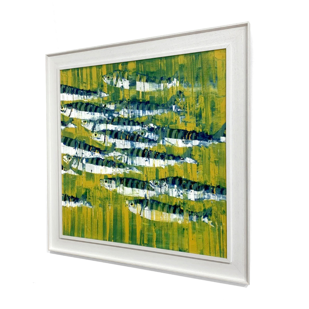 Rob Shaw | Atlantic Mackerel