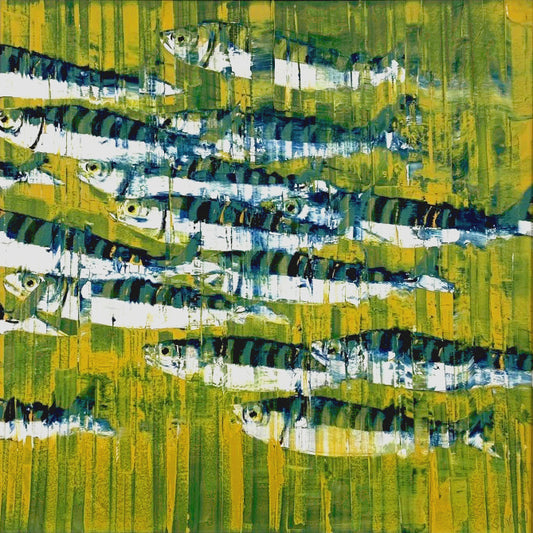 Rob Shaw | Atlantic Mackerel