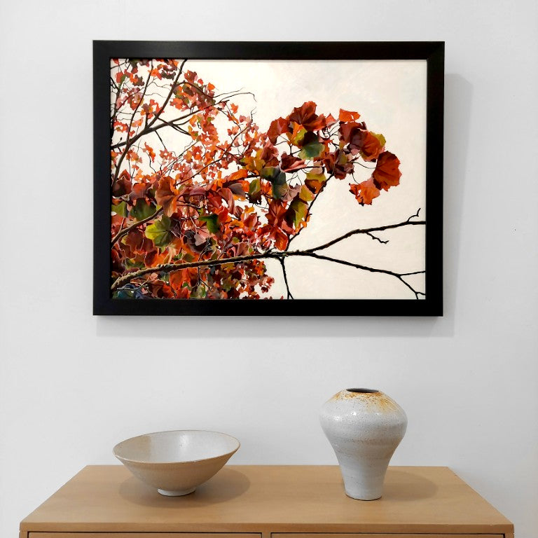 Gavin Weir | Autumn Maple, Golden Ratio