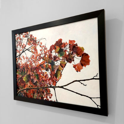 Gavin Weir | Autumn Maple, Golden Ratio