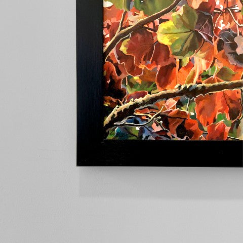 Gavin Weir | Autumn Maple, Golden Ratio