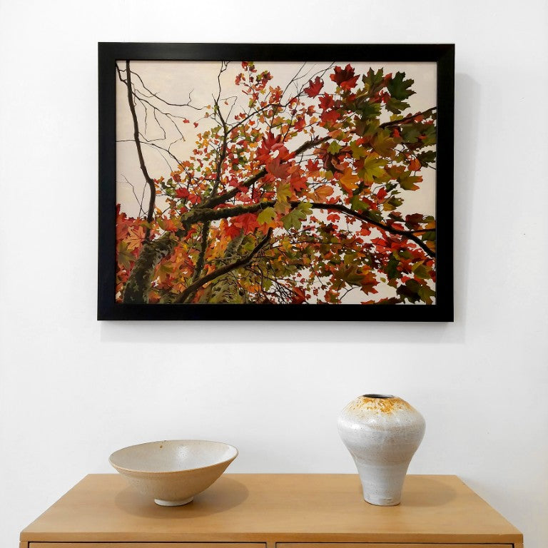 Gavin Weir | Autumn Maple I