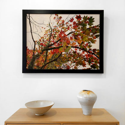 Gavin Weir | Autumn Maple I
