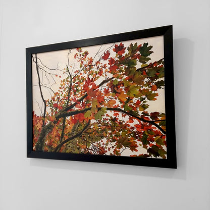 Gavin Weir | Autumn Maple I