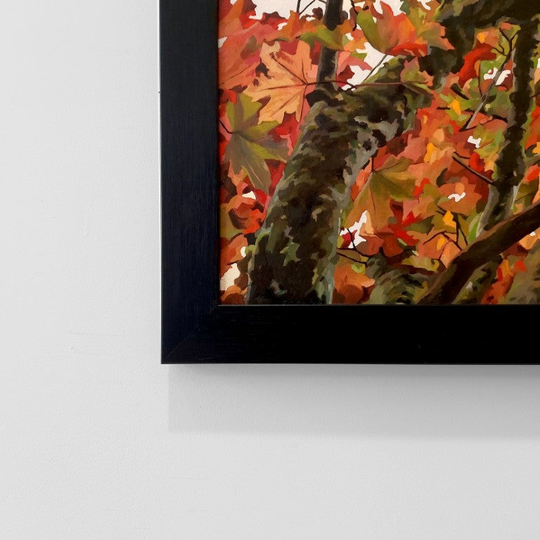 Gavin Weir | Autumn Maple I