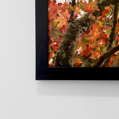 Gavin Weir | Autumn Maple I