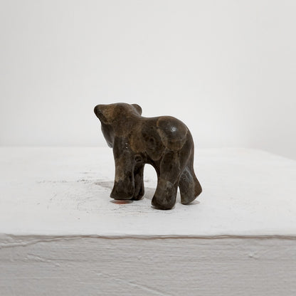Zita Abreu | Baby Bear III