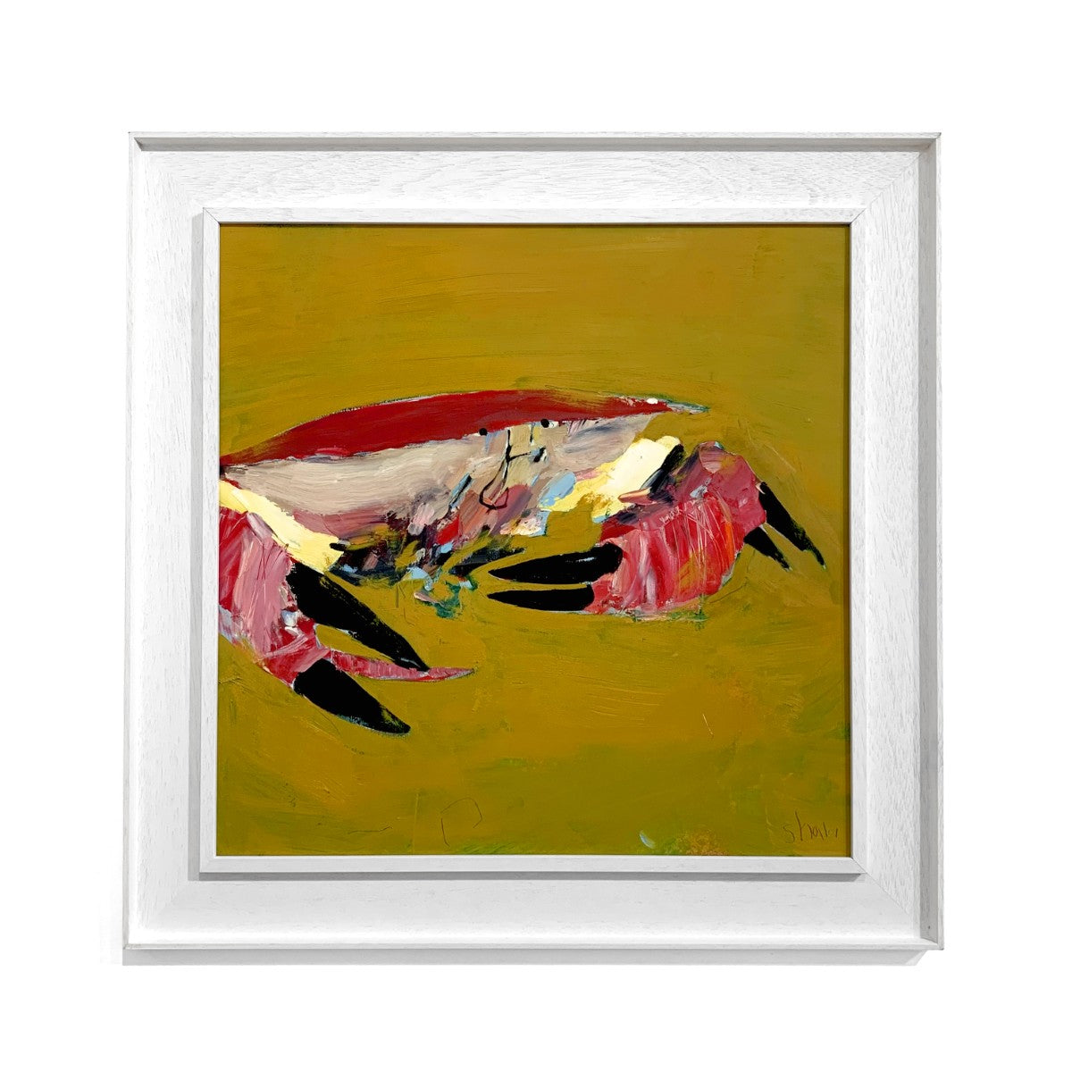 Rob Shaw | Beachcomber