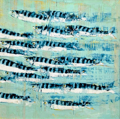 Rob Shaw | Blue Mackerel