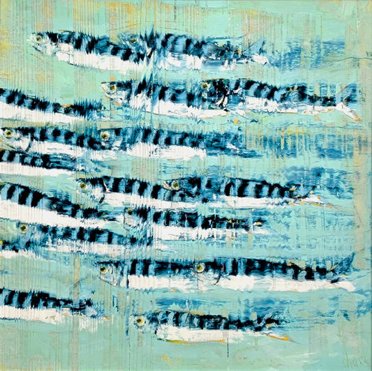 Rob Shaw | Blue Mackerel