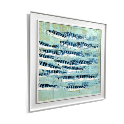 Rob Shaw | Blue Mackerel