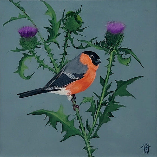 Sheila Anderson Hardy | Bullfinch