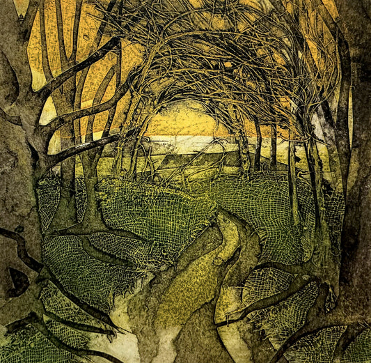 Sarah Ross-Thompson | The Ceaseless Quest, 3/30