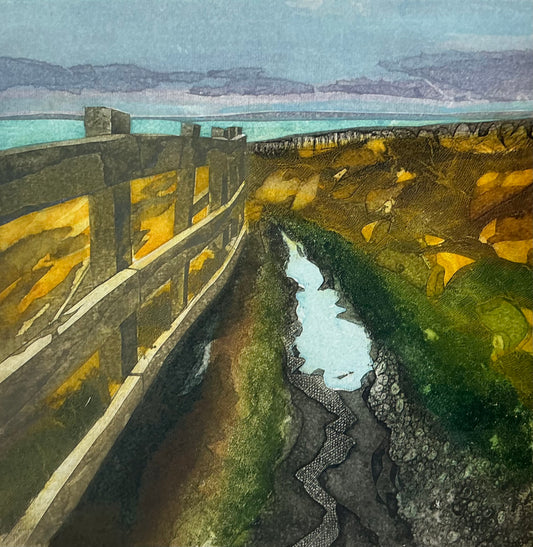 Sarah Ross-Thompson | Celebrating the Pedestrian, 1/30