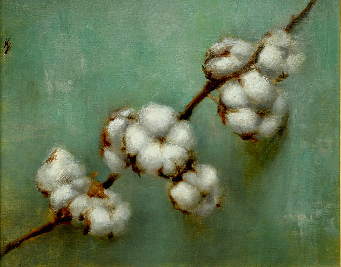 Ke Zhang | Cotton Stem Study