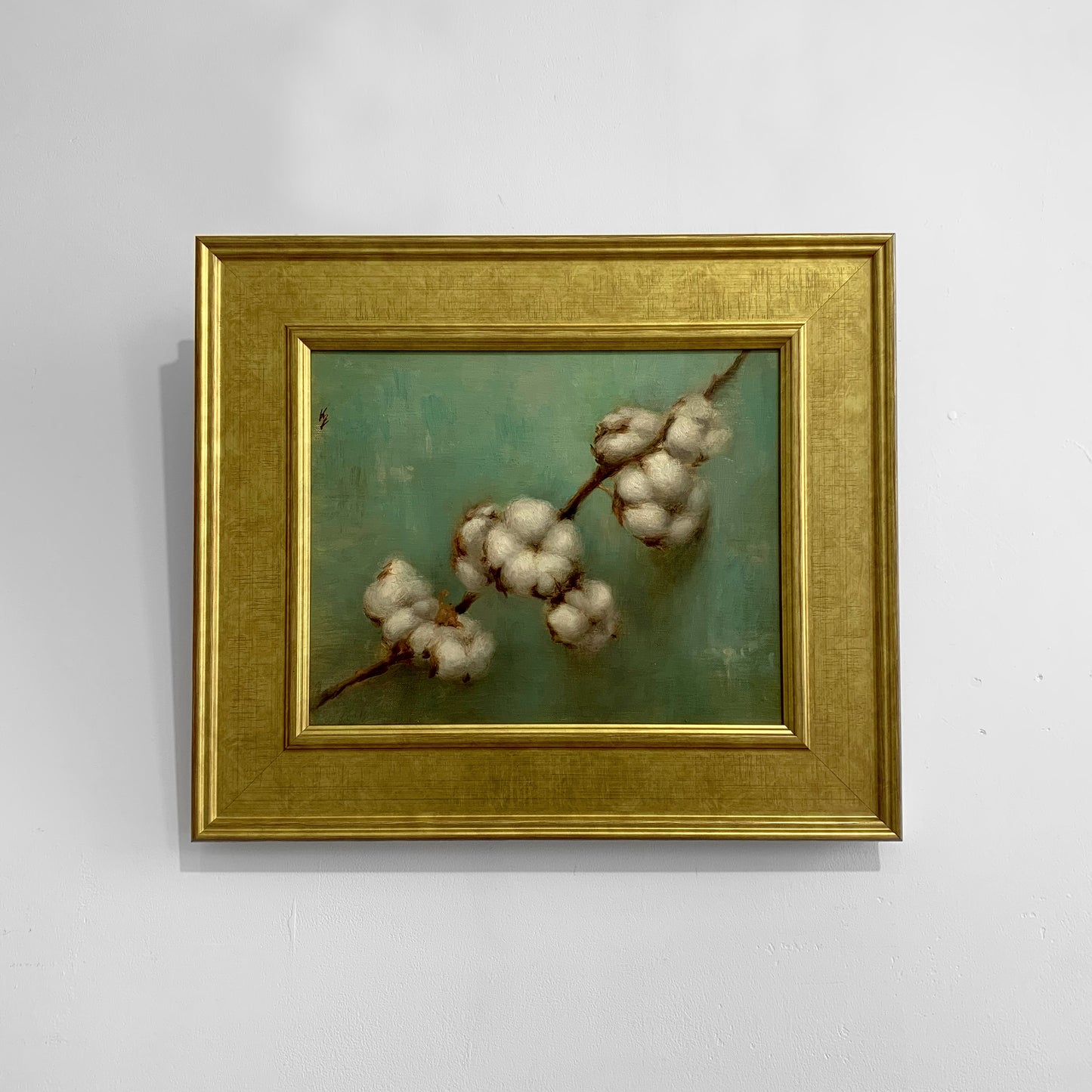 Ke Zhang | Cotton Stem Study