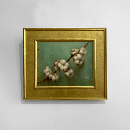Ke Zhang | Cotton Stem Study