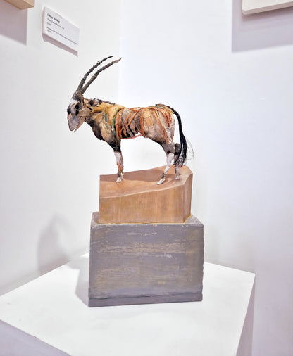 Mark Gibbs - 'Oryx Regeneration'